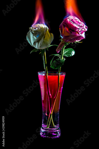 burning tulips in a vase