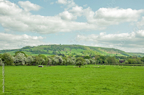 Summertime landscape in Herefordshire, England