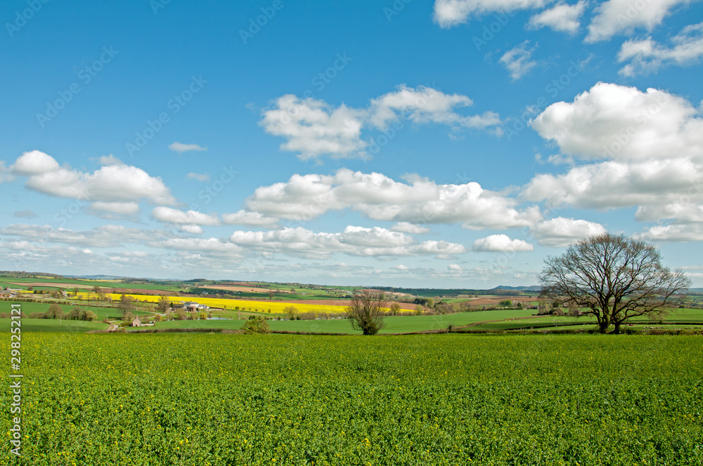 Springtime landscape in Herefordshire, England