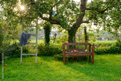 Abendstimmung im Herbst in einem Kleingarten