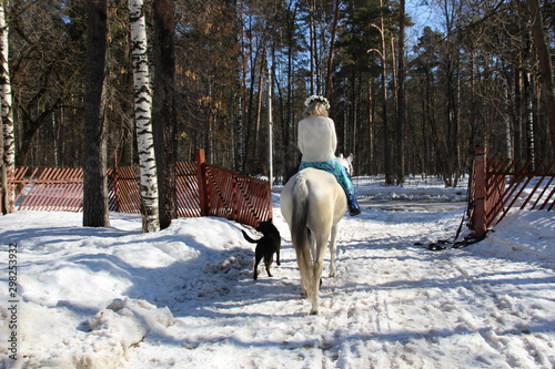 Blond woman with flower crown on white horse with dog moving on road to gate in fence in sunny winter day in the forest as a symbol of coming spring
