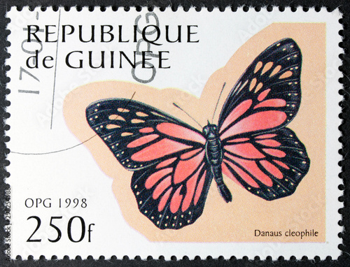 Stamp from ecuatorial republic of Guinea with a photo of a beautiful single butterfly on paper