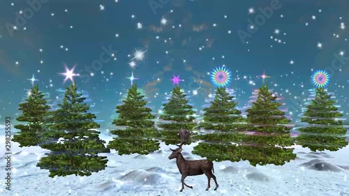 3D rendering of an enchanted grove