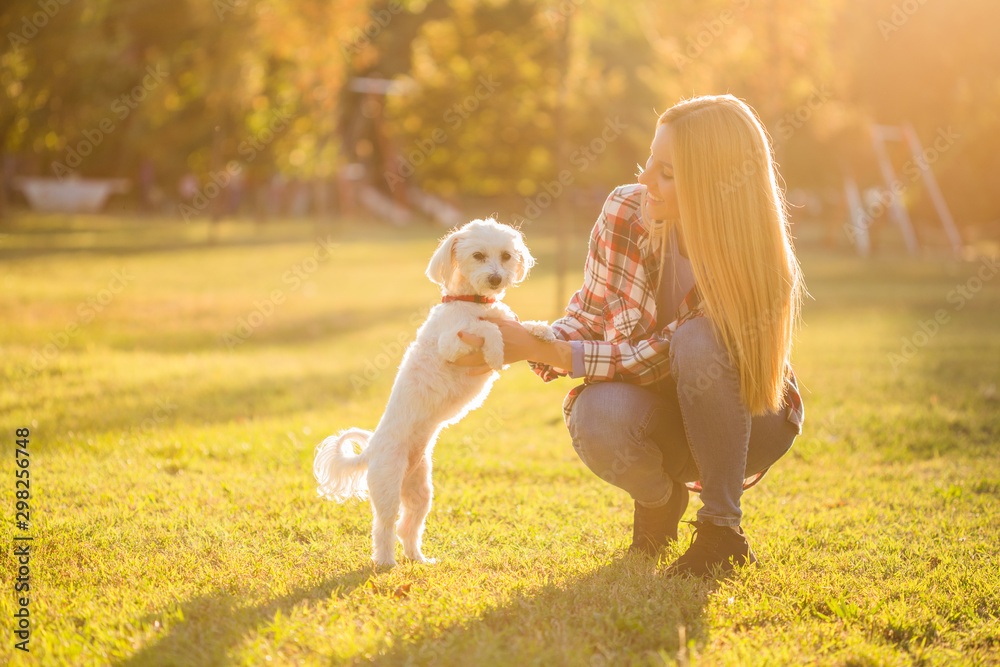 Fototapeta premium Beautiful woman spending time with her Maltese dog outdoor. 