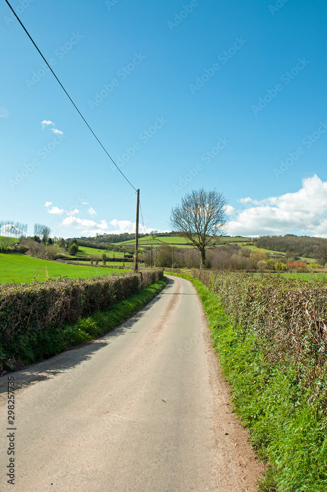 Country road in the springtime Country road in the springtime