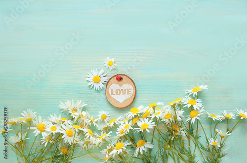 beautiful composition with chamomile flowers, ladybag and love heart on table. Rustic background with daisies flowers. Summertime season. copy space photo