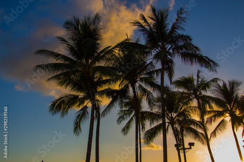 Sunset at Waikiki a part of Honolulu Hawaii  USA