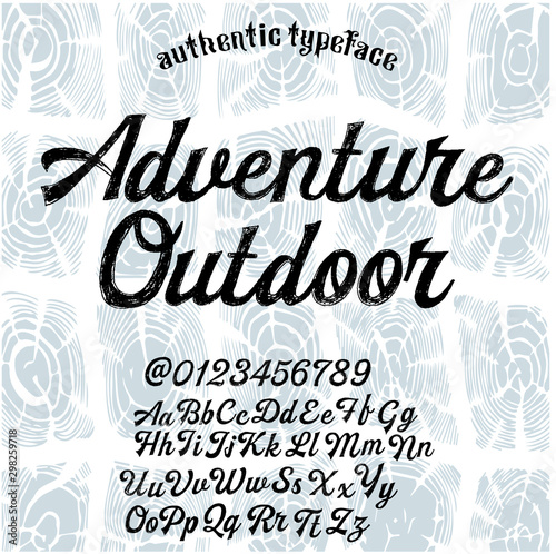 Hand drawn calligraphy typeface on light background for logos.Outdoor poster advertising inspired font. Textured unique brush in alphabet style. Letters.Vector Alphabet. Exclusive Custom Letters.