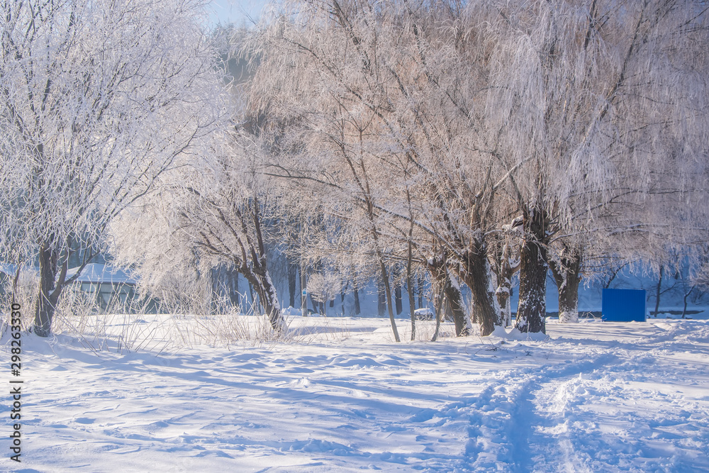 Amazing winter scenery with bare trees covered by frost on snowy meadow Amazing winter scenery with bare trees covered by frost on snowy meadow