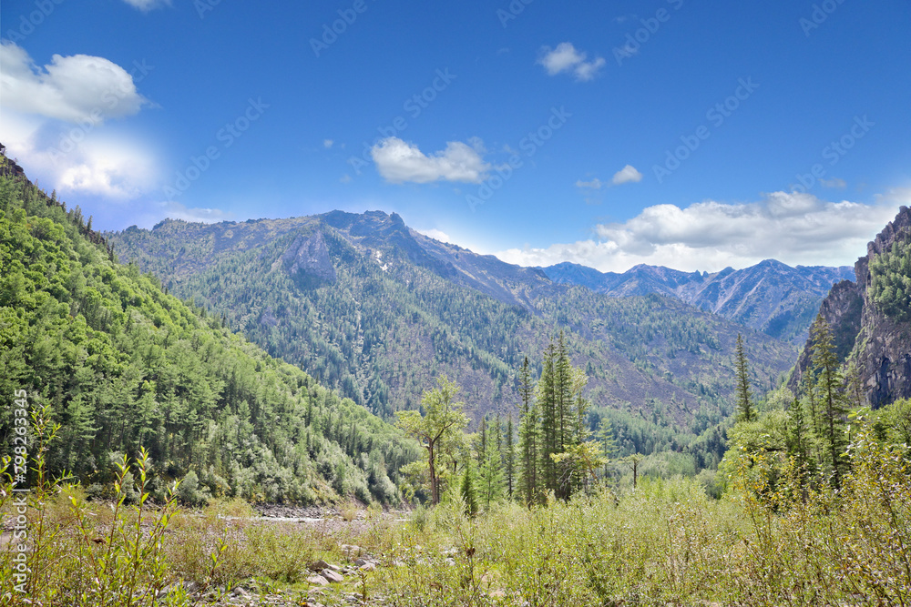 Mountain landscape - taiga and mountains in the summer against the sky.