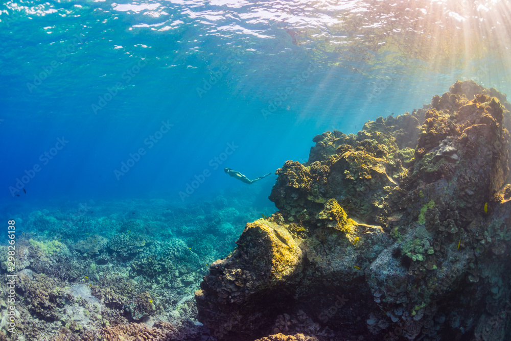 Woman in bikini snorkeling over reef in clear blue ocean water