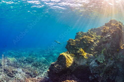 Woman in bikini snorkeling over reef in clear blue ocean water © Melissa