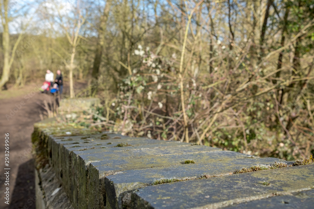 Detailed view of a an old brick footbridge seen in an English forest clearing. The background shows an out of focus, distant young couple with children walking on a forest path.