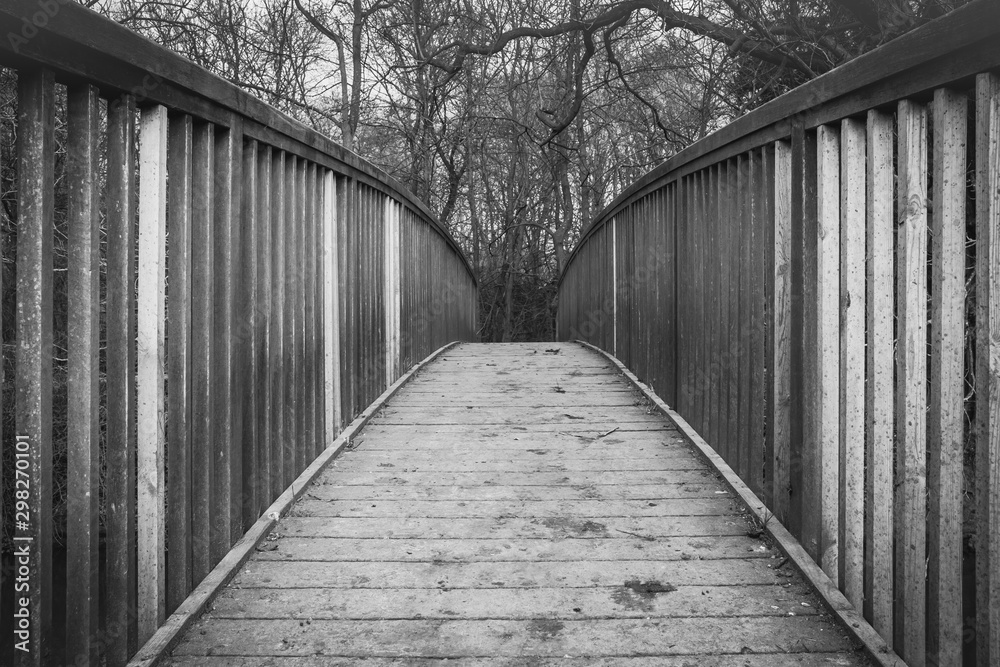 Abstract view of a timber-built footbridge showing detail of the design and construction. Spanning an inland river, the bridge is located in a forest clearing within the UK.