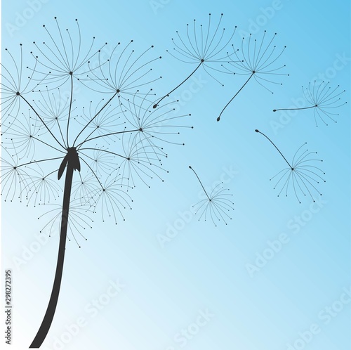 Dandelion  great design for any purposes. Beautiful background. Abstract dandelion for decoration design. Spring decoration. Blossom garden.