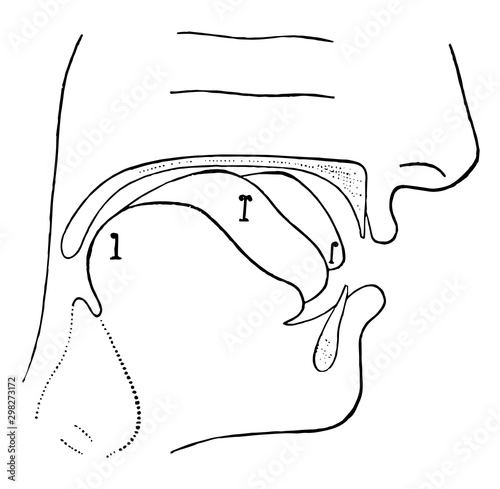Physiological Bases of the Visible Speech Symbols for Vowels, vintage illustration.