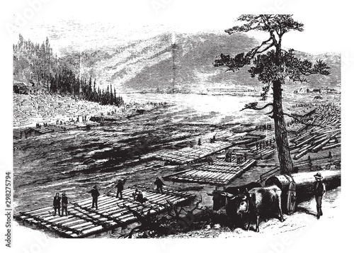 Susquehanna River, vintage illustration.