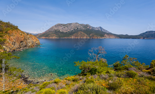beautiful emerald sea bay with rocky coast, summer sea background © Yuriy Kulik