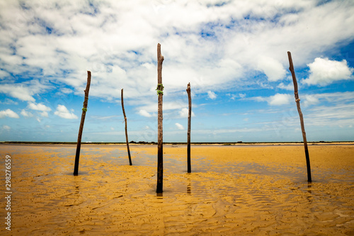 Logs nailed to the beach. Wooden sticks on the coastal floor.