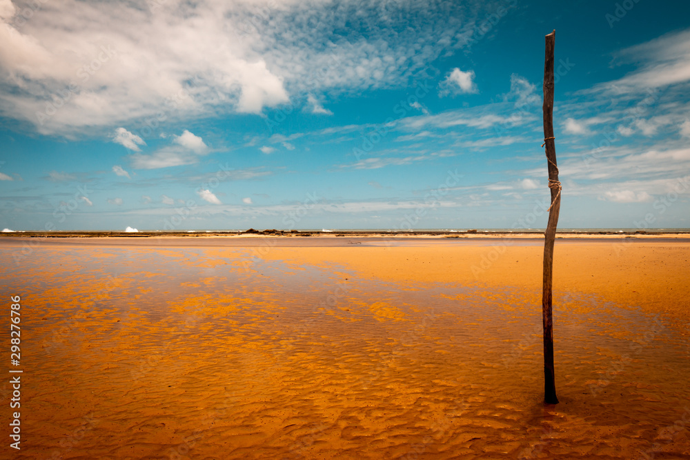 Logs nailed to the beach. Wooden sticks on the coastal floor.