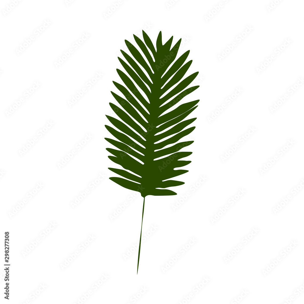 Palms leaves isolated on white. Palms leaves isolated on white.