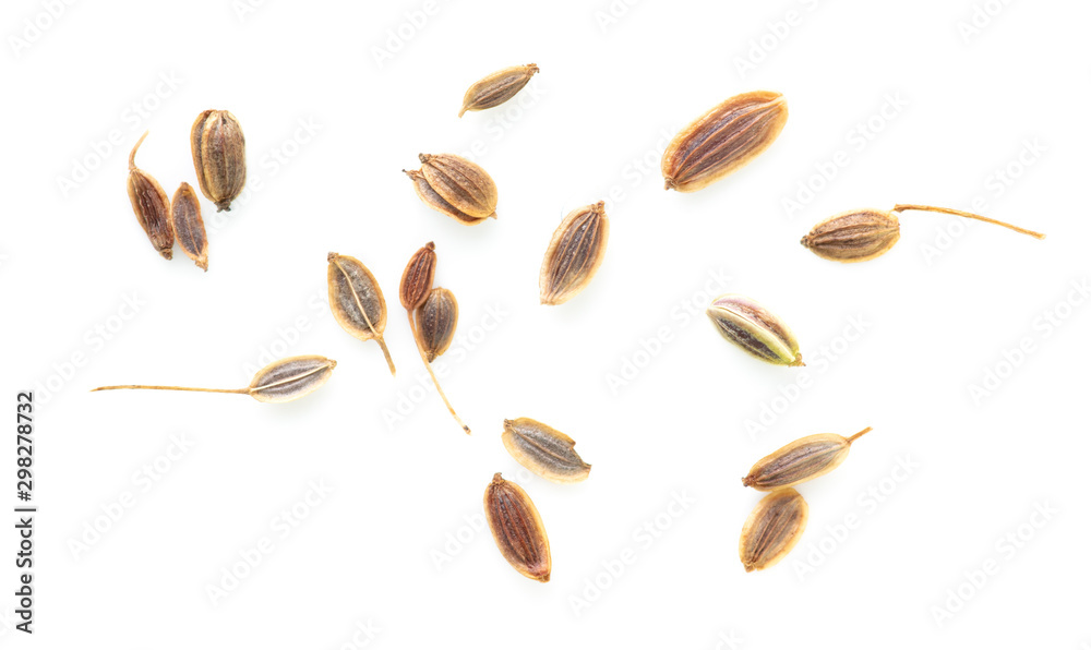 Dill seeds isolated on a white background - obrazy, fototapety, plakaty 