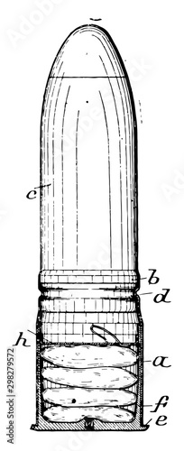 Bullet Cartridge, vintage illustration.