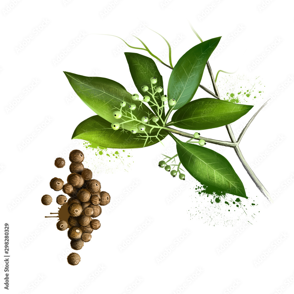 Pile of aromatic allspice isolated on white background. Jamaica pepper, pepper, myrtle pepper, pimenta, Turkish Yenibahar, or newspice. Dried unripe fruit berries, used as a spice. Digital art image. - obrazy, fototapety, plakaty 