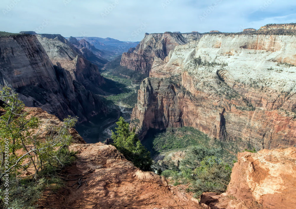 Observation Point in Zion