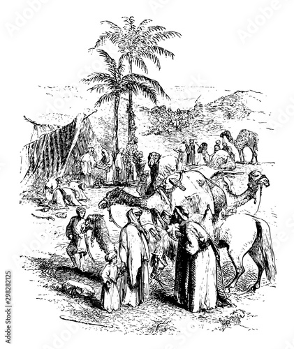 A Scene In Arabia vintage illustration.
