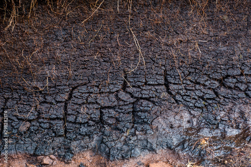 Bodenprofil in einem Moor in den schottischen Highlands