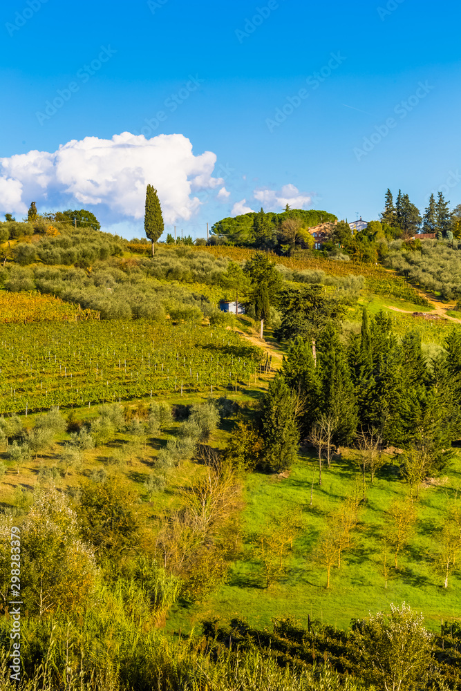 Paysage de Toscane, Italie 