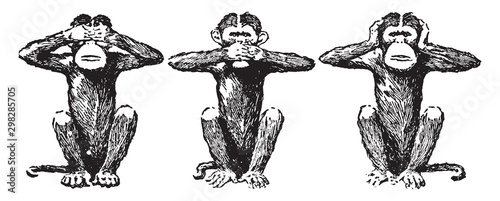 Three Wise Monkeys, vintage illustration.