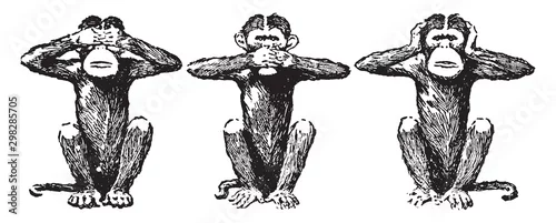 Fototapeta Trzy mądrej małpy, rocznik ilustracja.