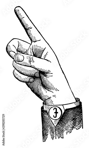 Round Back Wide Mid Vowel, vintage illustration.
