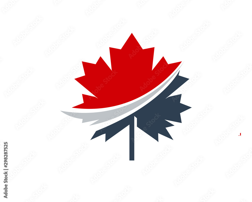 Obraz premium Canadian Maple leaf Logo, Maple Leaf Illustration Vector Design
