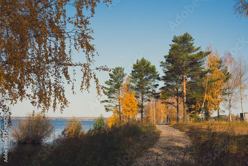 autumn landscape-trees with yellow foliage  path along the river  Sunny day