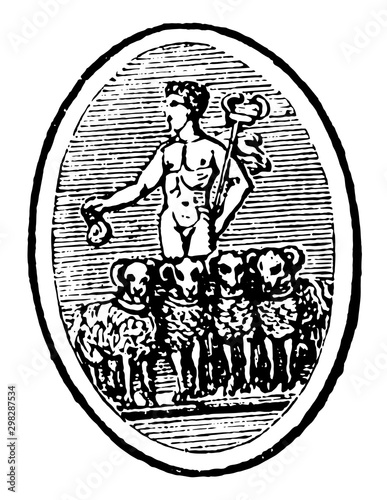 Marsupium, vintage illustration.