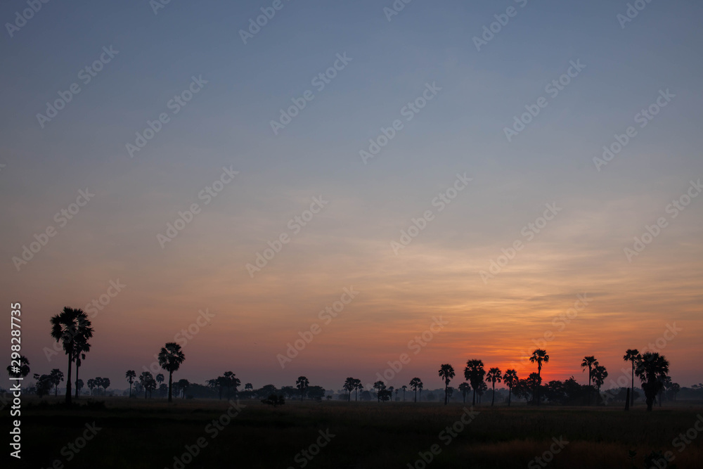 sun rise in upcountry with tree in foreground. sun rise in upcountry with tree in foreground.
