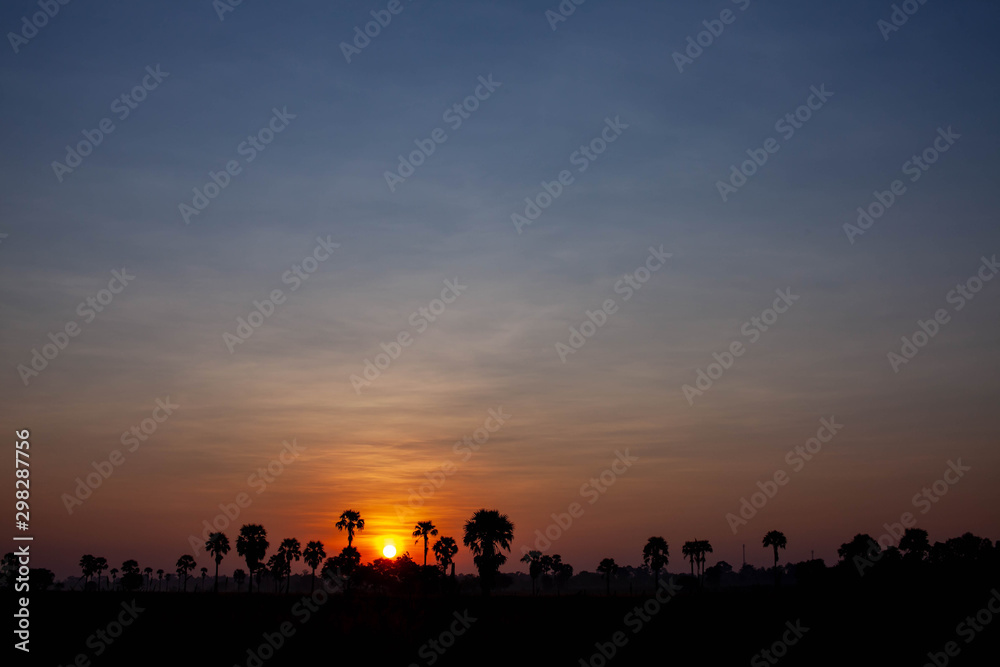 sun rise in upcountry with tree in foreground.