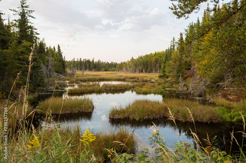 Grassy Lake near Ely Minnesota