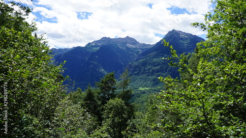 Berge aus Wald