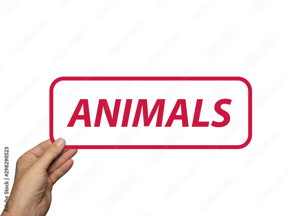 hand holding card with the word Animals. isolated on white background. Minimal composition. Animals concept. hand holding card with the word Animals. isolated on white background. Minimal composition. Animals concept.