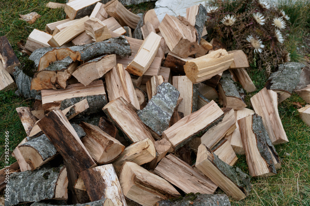 Chopped logs in the clearing behind the house. Countryside, remote places. Preparing for the winter. Harvesting logs. Chopped logs in the clearing behind the house. Countryside, remote places. Preparing for the winter. Harvesting logs.