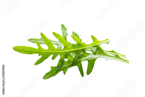 Arugula leaves isolated on white background. photo