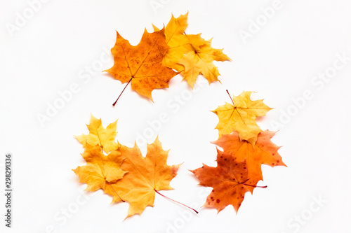 Recycle symbol on white background. Recycle icon of orange maple leaves. Reuse sign for ecological design zero waste. Eco concept