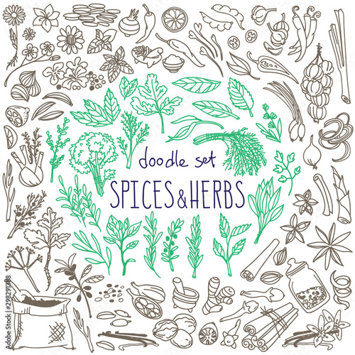 Set of various doodles, hand drawn rough simple sketches of various types of spices and herbs. Vector freehand illustration isolated on white background.