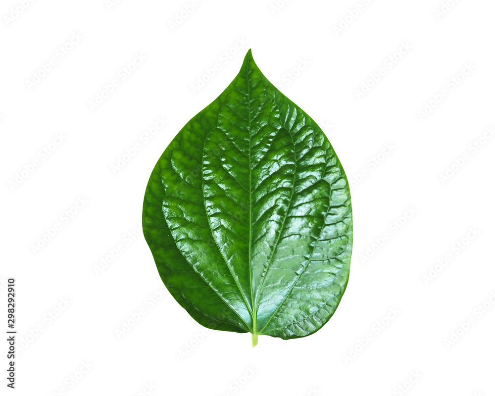 Obraz premium Leaves9