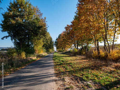 Herbst