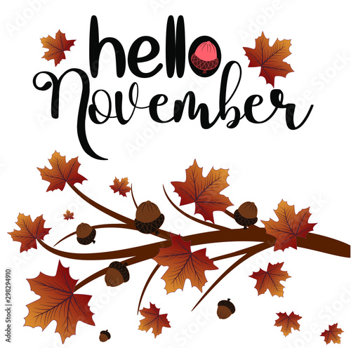 Hello month november vector with autumn leaves. Illustration november. Decoration autumn